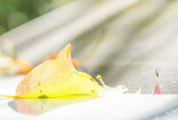 穆斯卡特：若抱着打平的心态是非常危险的；李新翔参加了合练