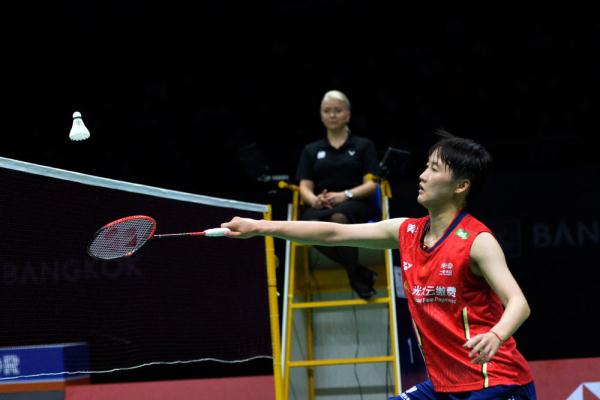 水准替代者 水准替代者